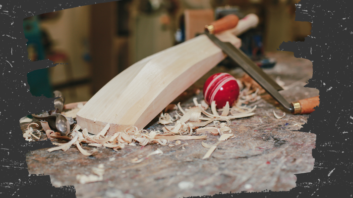 Business Insider Reaction: The Truth About English Willow Cricket Bats