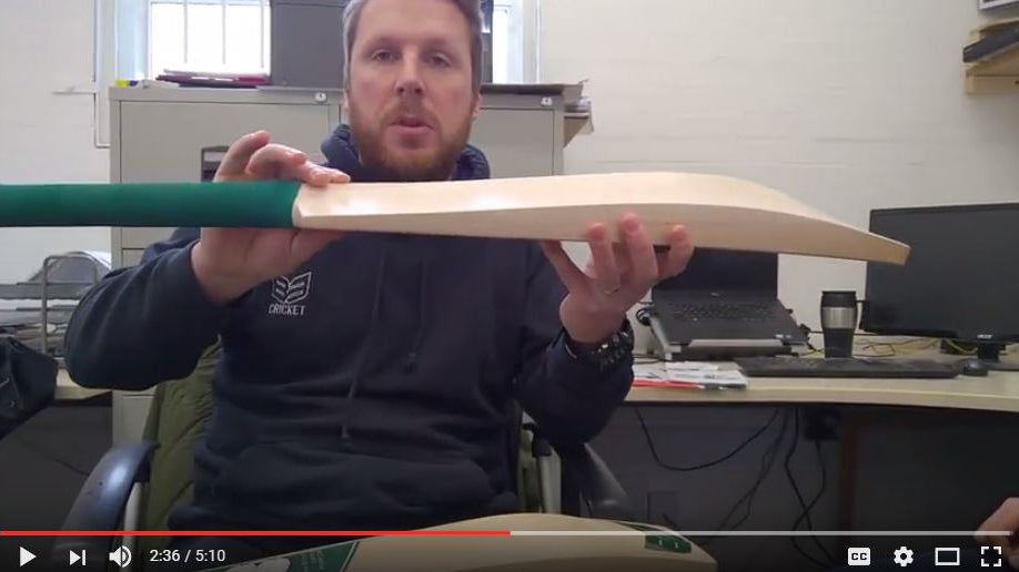 buy professional cricket bat