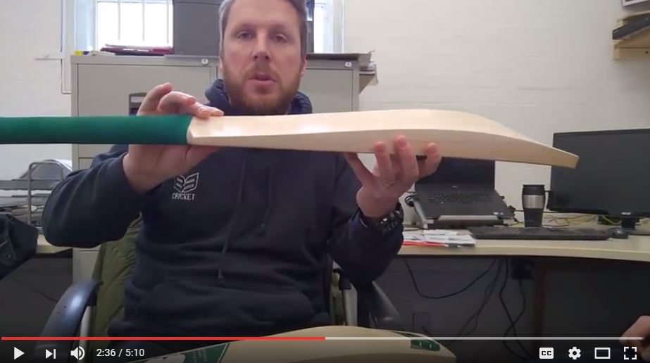 buy professional cricket bat